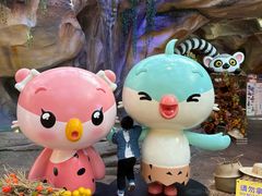 -杭州开元森泊度假乐园