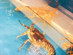 -蓬莱阁中餐厅(崇文门店)