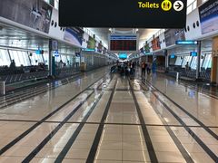 -奥利弗·雷金纳德·坦博国际机场