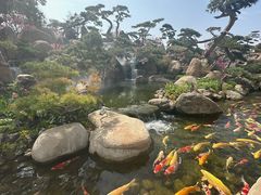 -罗红摄影艺术馆