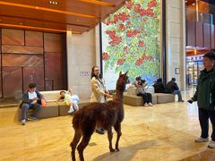 -济南喜来登酒店