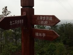 -仙岳公园