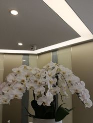 -Yestar宁波艺星整形医院