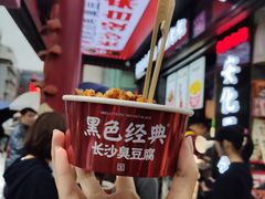 -黑色经典臭豆腐·湖南特产(坡子街店)