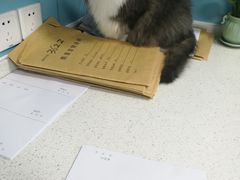 -甄爱宠物医院(疏影路店)