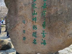 -香雪海