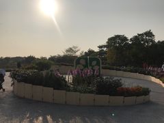 -福田红树林生态公园