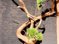 -农耕记·湖南土菜(科技园店)
