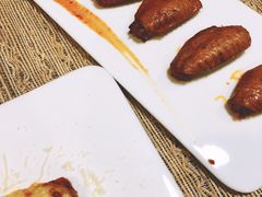 -百好乐宠物友好餐厅(朝外大街店)