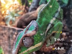 -道口麻辣烫·烧烤(五道口店)