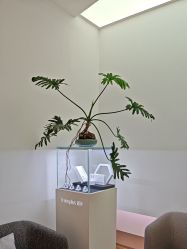 -Dr.U博士医疗美容医院