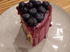 -Wagas沃歌斯(枫蓝国际店)