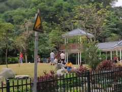 -火炉山森林公园