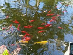 -北京植物园-展览温室