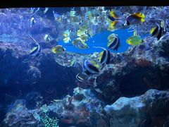 -海合安成都极地海洋公园