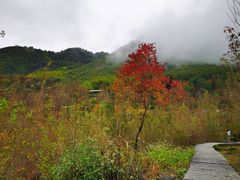 -塔川景区