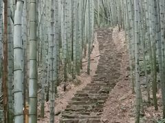 -午潮山国家森林公园