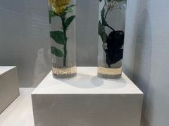 -广东中医药博物馆