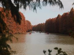 -上海海湾国家森林公园