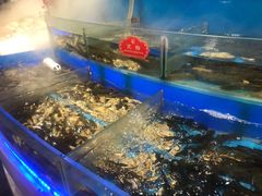 水产区-千家粗粮王(MOMOPARK店)