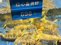 -青蓬蒸汽海鲜·深圳老字号·团建聚会(壹方城店)