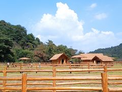 -龙岩森林水乡景区