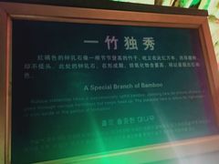 -泰安地下龙宫景区