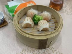 -哥顿酒店休闲会所