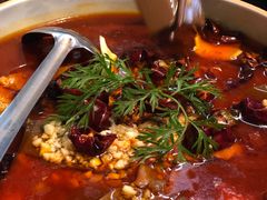 -到家尝北京菜(西坝河店)