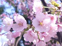 -静安雕塑公园