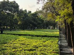 -南宁南湖公园