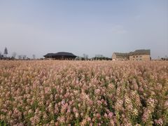 -中国天府农业博览园