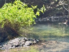 -夏霖九天银瀑风景区