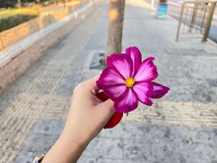 -北京石景山游乐园