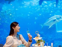 -海棠湾洲际-涛·海底餐厅·美人鱼·自助餐·海底隧道