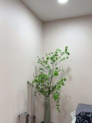 -上海首尔丽格医疗美容医院