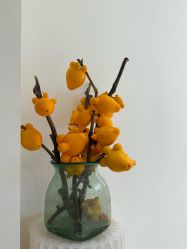 -安那般那皮肤年轻化ANAPANA