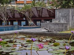 -三亚海棠湾万丽度假酒店