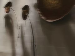 -泰菩提树下·泰式按摩SPA(沙坡尾店)