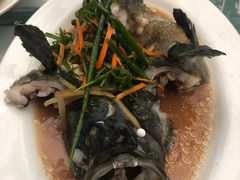 -四姑娘川味海鲜(八爪鱼店)
