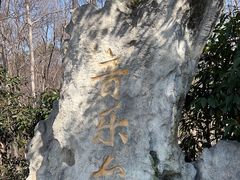 -音乐台