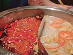 -朱氏胖子烂火锅(洪崖洞店)