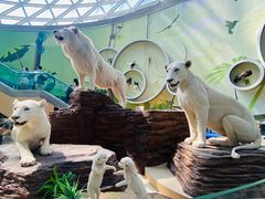 -陕西自然博物馆