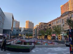 -巴依老爷新疆美食(望京小街店)