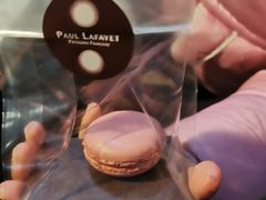 -PAUL LAFAYET 法式甜品(国金中心商场店)