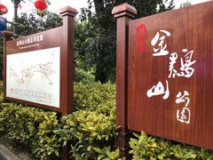 -金鸡山公园