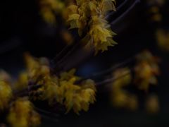 -华东政法大学(松江校区)