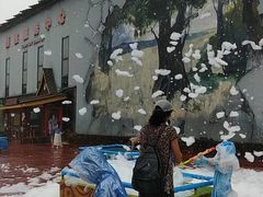 -北京呀路古热带植物园