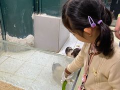 -上海大自然野生昆虫馆(东方明珠·爬宠昆虫探索中心)