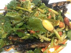 -杨氏青龙虾·羊蝎子(金盛路总店)